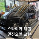 그린디젤자동차정비 | 덕은동 자동차 정비소, 스타리아 디젤 엔진오일 교환