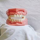 와온치과