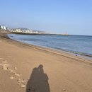 사계 돌담숲 이미지