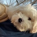 똘이살롱 이미지