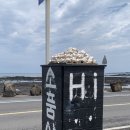 도르멍스테이 이미지