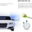 알바트로스 라이브 이미지