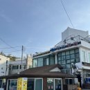 영진애견 | 강릉 주문진 블루리본맛집 영진횟집 모듬회와 물회먹은 그날의 기억