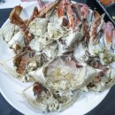 약촌로~1공단로~하나1로 | 익산 횟집 신흥동 맛집 회초리 왕새우소금구이, 숯꽃게 먹은 후기