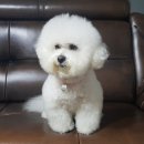 애견용품 창고형 할인매장 이미지