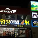 유성대로1 네이버블로그