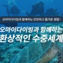 다이빙솔루션
