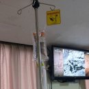 선길농장 이미지