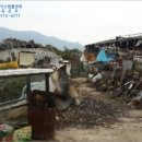 에이스목장 이미지