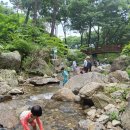 모현어린이집 놀이터 | 용인자연휴양림 계곡 경기도 용인 근교 계곡 물놀이