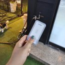 러브독애견카페 | [곤지암 아이러브마이독] 경기 광주 애견카페 경기 심야 애견카페 이후기 내돈내산
