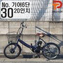 30,000엔 20인치 PELTECH 전기자전거 3종가전동시구매시 상품주문번호 - 30 이미지