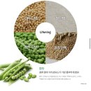 서울인셀덤 | 인셀덤다이어트쉐이크 후기[포만감·맛·체중변화] 솔직 리뷰