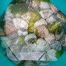 정동진놀자 이미지