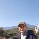 터미널그린약국 이미지