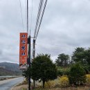 시탕뿌리 이미지