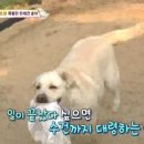 호야농장 이미지