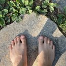 세병공원(대로변) 이미지