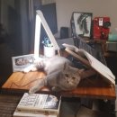 산골공작소 이미지