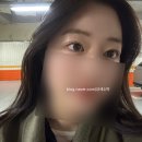 눈숲 네이버블로그