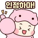 더 뷰티 보나 이미지