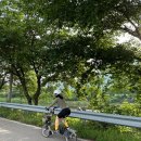 새재자전거길 6 이미지