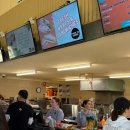 한국차체(주) | 4일차 : 호주 무한투어 포트스테판 투어 내돈내산 후기 (넬슨베이 돌핀 크루즈-샌드보딩-오크베일 동물원)