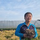 (기획투어)미식순천 이미지