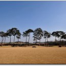 덕양농원 이미지