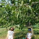 목천농장 이미지