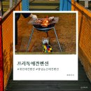 충남 대전애견펜션 개별운동장 프리독애견펜션 다녀왔어요