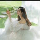 서당개 스튜디오 이미지