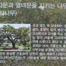 남순하효자문 이미지