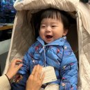 영희네매운갈비찜 이미지