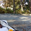 장애인복지회관 건너편 이미지