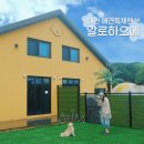 좋은아침 | 태안 애견독채펜션 애견동반 풀빌라 알로하오에