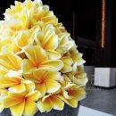 발리호텔 이미지