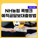 [재테크 금융] NH농협 예적금 담보<b>대출</b> 비대면 실행 방법 (농협 <b>콕</b>뱅크)