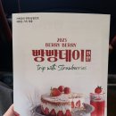 천안 베리베리빵빵데이 후기
