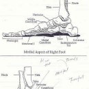 Re:발 각 부위별 그림자료 구합니도 이미지