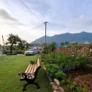 더숨민박 | 포항민박 마당민박 이용후기