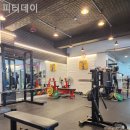 피티데이 이미지