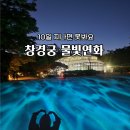창경궁 물빛연화 야간개장 가격 2일만에 웨이팅 성공 관람 리얼후기