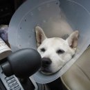 똘이식당 이미지