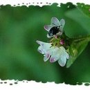 늘 좋은생각 이미지