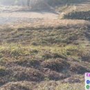 명례휴게소 이미지