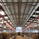 수리한우농장 이미지