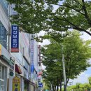 광덕4로3 | 경기 안산] 안산 중앙역 애견동반 브런치 카페 &#39;센트랄드파사드 CENTRALE DE FACADE&#39; 메뉴 추천, 방문 후기