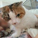 의병장홍자수묘 | 10월 커몬
