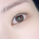 디어올리 | 대전속눈썹펌 디어셀린 (+제이래쉬 영양제 최저가 득템)